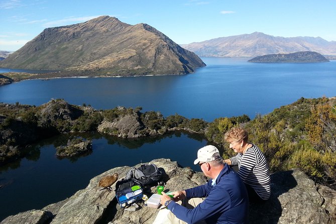 Wanaka Nature Encounter: Lake Cruise and 4WD Safari