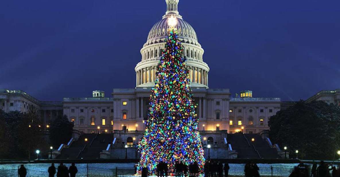 Washington DC: Moon Light Tour of National Mall & Memorials