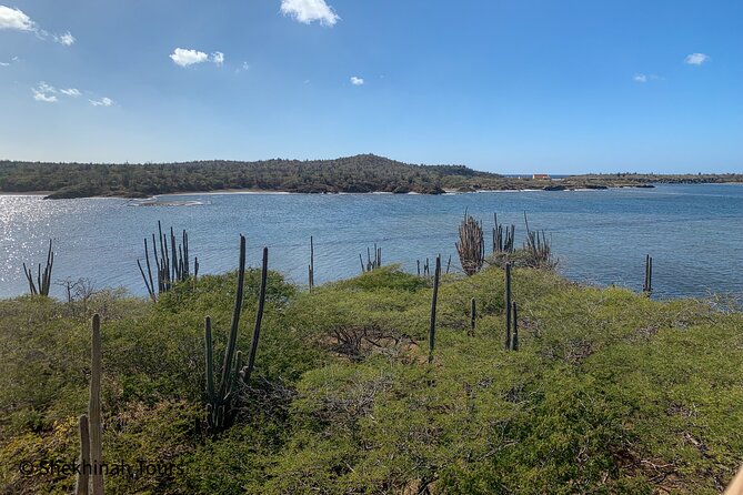 Washington Park Tour With Local Guide on Bonaire