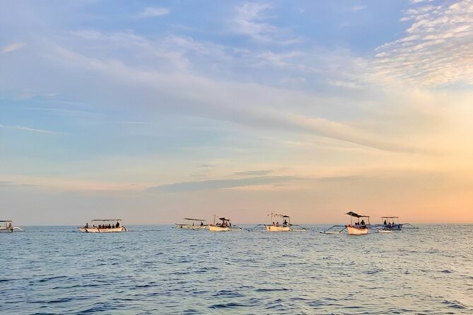 Watching Dolphin Tour at Lovina Beach