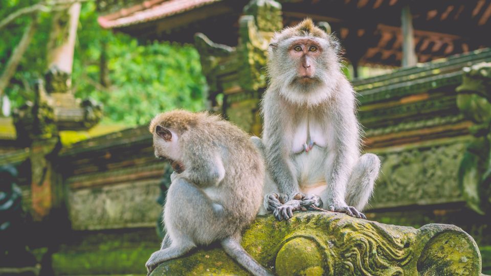 Waterfall Trekking: Balis Northern Temples and Twin Lakes