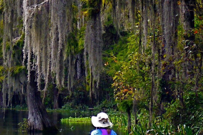 Wekiva River Guided Kayak Tour