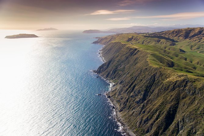 Wellington South Coast Discovery Helicopter Flight