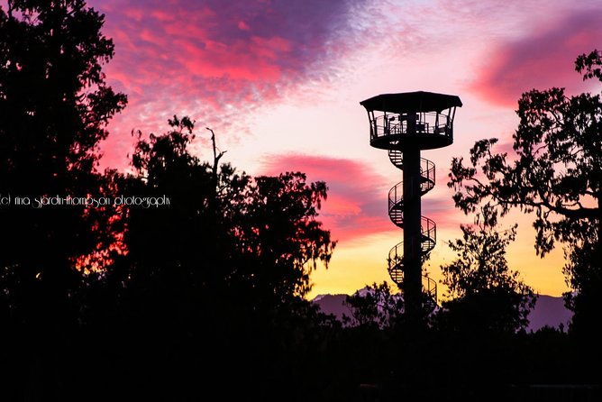 West Coast Tree Top Walk Experience