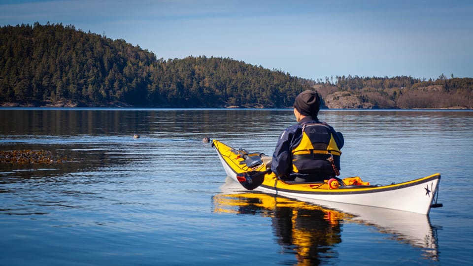 West Sweden: Paddle With Seals