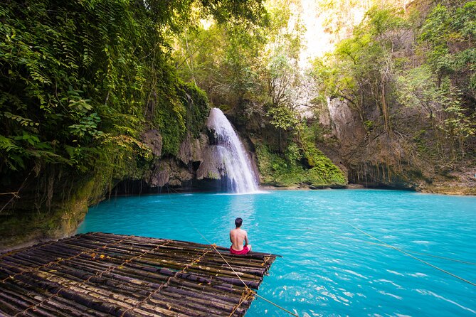 Whale Shark Encounter and Kawasan Falls Canyoneering With Lunch