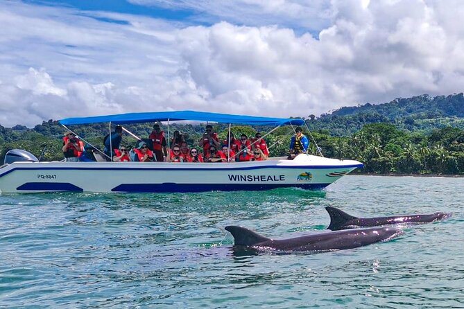 Whale Watching at the Marino Ballena National Park