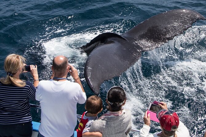 Whale-Watching Cruise From Newport Beach - Tour Overview and Features