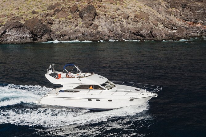 Whales and Dolphins Excursion on a Luxury Yacht in Canary Islands - Experience Overview