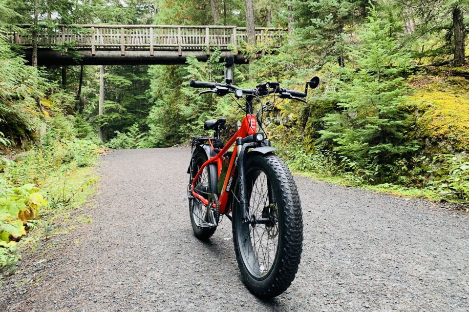 Whistler: Guided Ebike Adventure - Explore Wilderness Valley