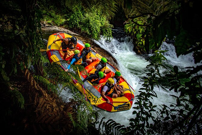 White Water Rafting - Kaituna Cascades, The Originals - Overview of the Experience