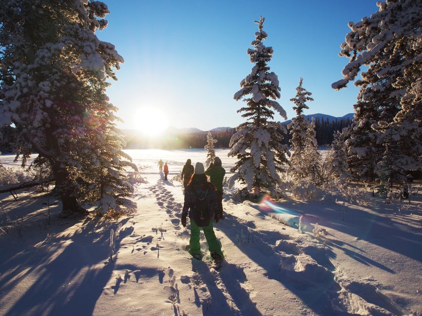 Whitehorse: Half-Day Snowshoeing Tour