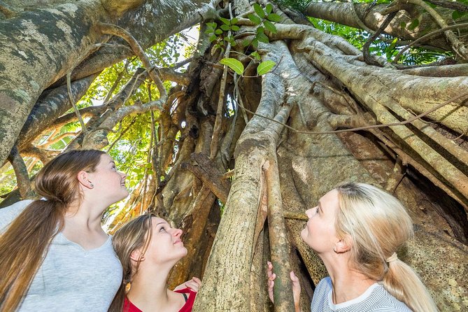 Whitsunday Segway Rainforest Discovery Tour - Tour Highlights