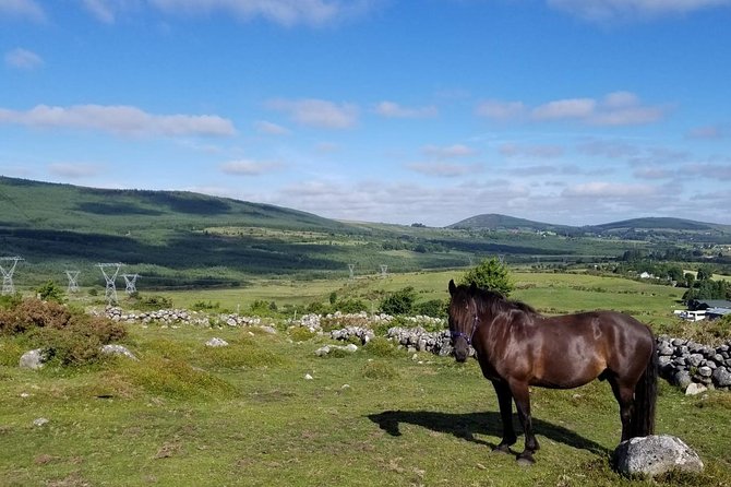 Wicklow Mountains Horse Trekking - Overview of Wicklow Mountains