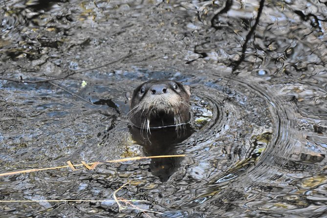 Wild & Scenic Loxahatchee River Guided Tour