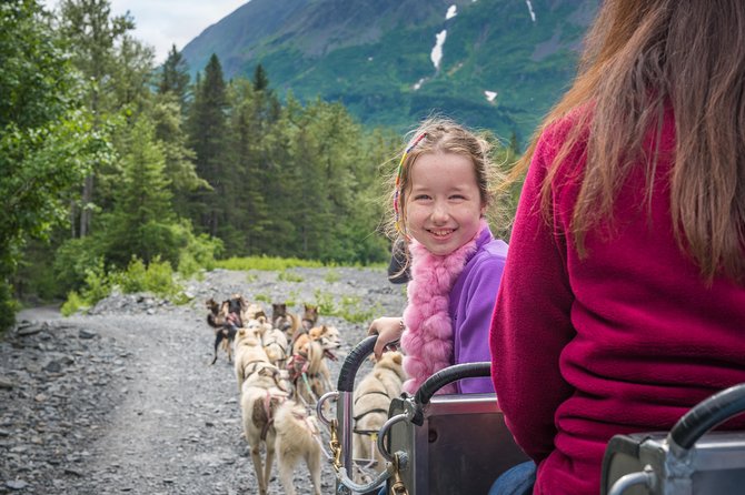 Wilderness Dog Sled Ride and Tour in Seward - Tour Experience Overview