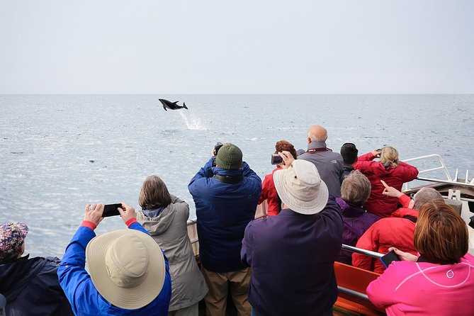 Wildlife Cruise With Transport - Overview of the Wildlife Cruise