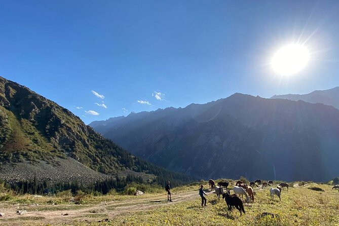 Wildlife Hiking Adventure in Ala Archa National Park