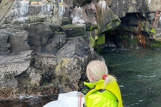 Wildlife, Scenery and Cave Exploring Tour! - Tour Overview