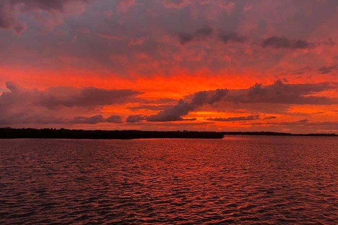 Wildlife Tour of Indian River Lagoon With Experienced Captain - Wildlife Encounters