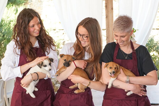 Wine and Food Tasting in an Organic Family Winery - Organic Farming Practices