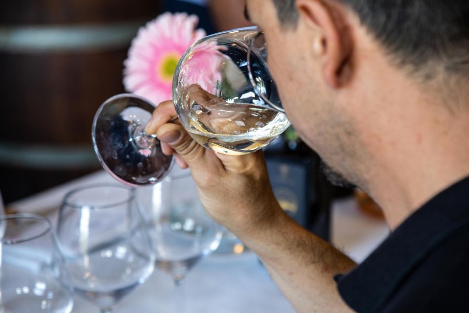 Wine and Local Delicacies Tasting at a Sicilian Palmento