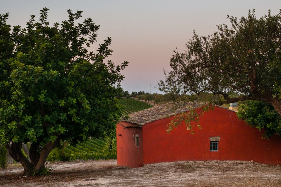 Wine Tasting and Typical Tastings in the Val Di Noto