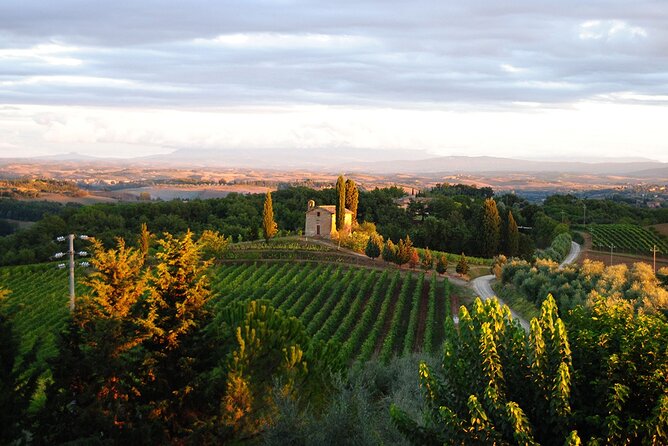 Wine Tasting at the Winery in the Panoramic Terrance