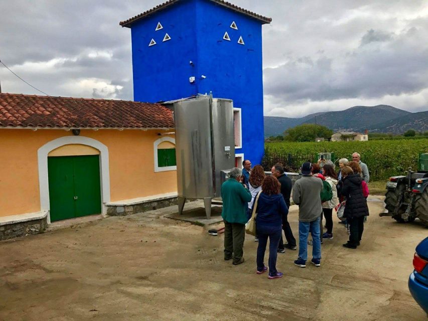 Wine Tour & Tasting in an Organic Winery in Arcadia, Greece