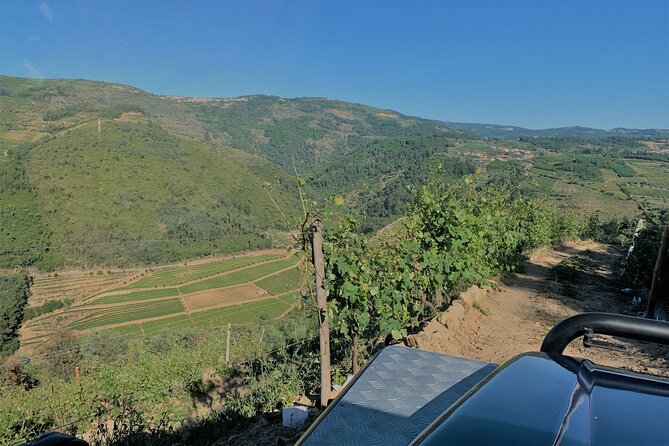 Winery Tour and Wine Tasting at Quinta Da Portela De Baixo in Lamego - Experience Overview