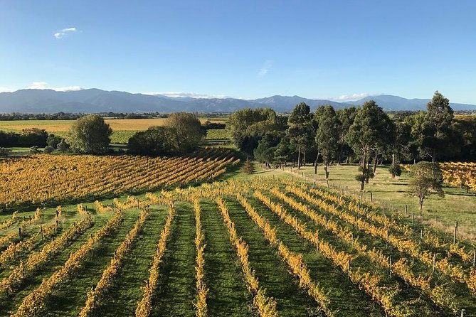 Winter Wine Gourmet and Scenic Pleasures of Marlborough: Group Tour