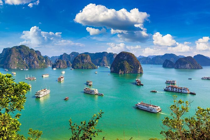 Wonderful Day Cruise Ha Long Bay – UNESCO World Heritage Centre