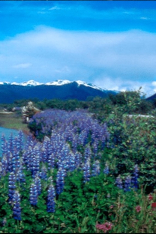 Wrangell: Stikine River Boat Tour - Tour Overview