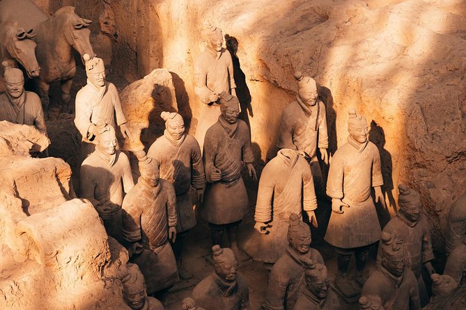 Xian Terracotta Warriors & and Horses Highlight Day Tour