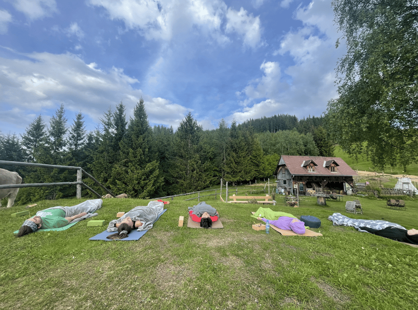 Yoga: on the Mountain Pasture With a Breathtaking View