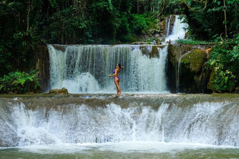 Ys Falls and Appleton Estate Private Tour