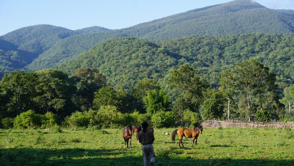 Yungas: Full Day With Gauchos