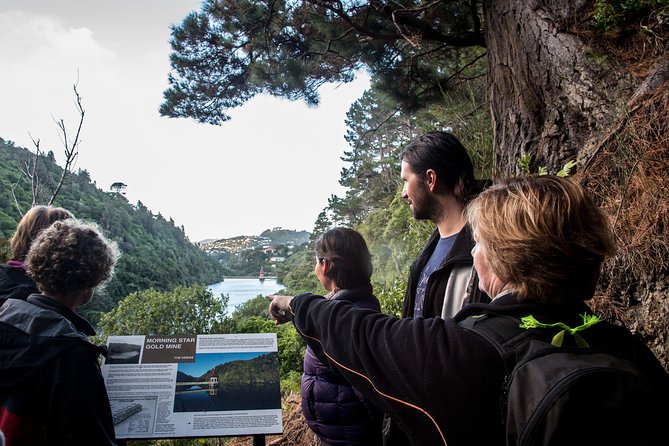 Zealandia - Twilight Guided Eco Wildlife Tour - Tour Overview