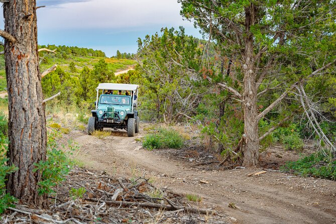 Zion Sunset Jeep Tour