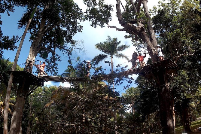 Zip Line Over the Dunns River Falls