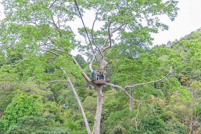 Zipline 18 Platforms and ATV Adventure Tour From Phuket