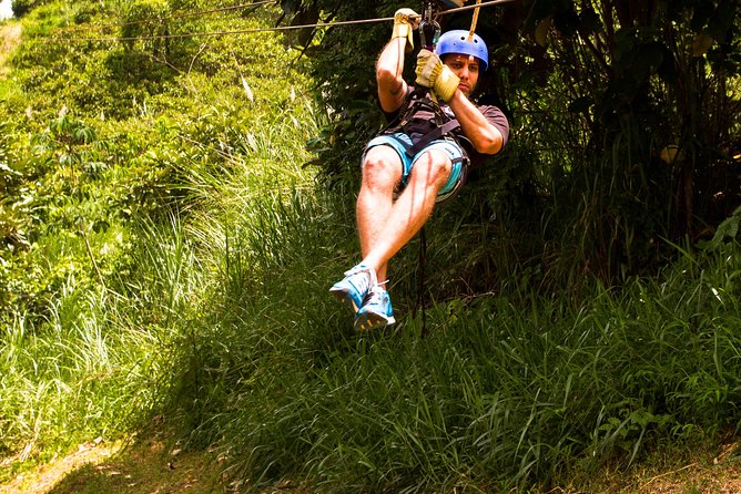 Zipline Adventure In The Rainforest