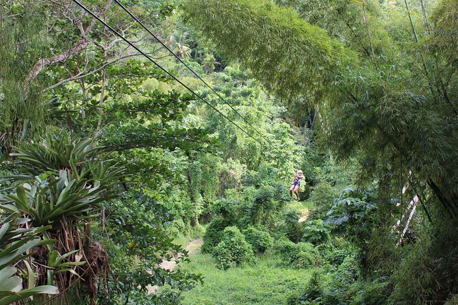 Zipline, Tubing and Island Gully Falls at White River