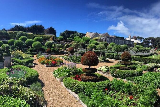 2.5 Hours Wine Tour in Waiheke Island for Cruise Ship Travelers