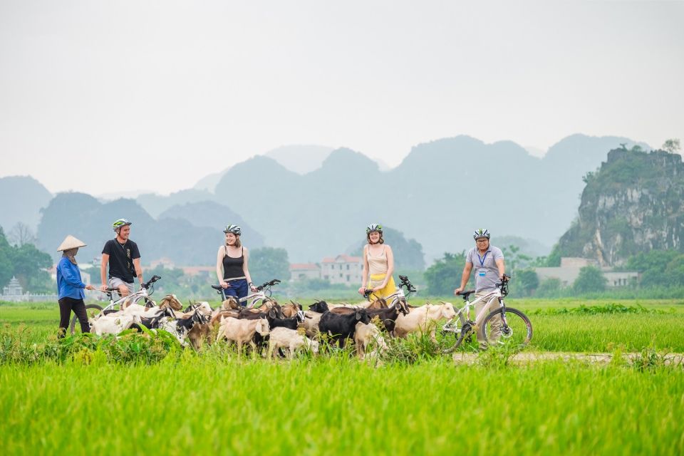 2 Day Exploring Ninh Binh With Bungalow Stay - Key Points