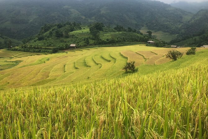 2 Day Trekking Experience: Explore With Knowledgeable Local Guide - Experience Overview