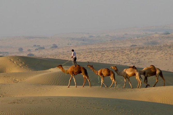 2 Days-1 Night Camel Tour - Key Points