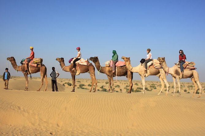 2 Days and 1 Night Camel Safari - Key Points