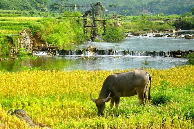 2 Days Pu Luong Offbeat Trekking Best for Mountain Lovers - Itinerary Highlights