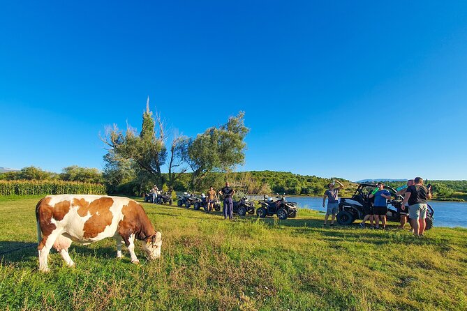 2 Hours Beginner Quad Tour at Dalmatia Inland - Good To Know